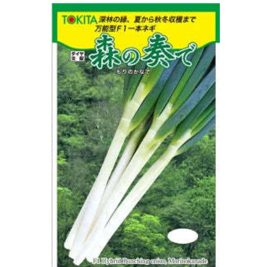 森の奏で(TSX-515) 1DL 葱 ネギ ねぎ ダイヤ交配 【トキタ 種 たね タネ】