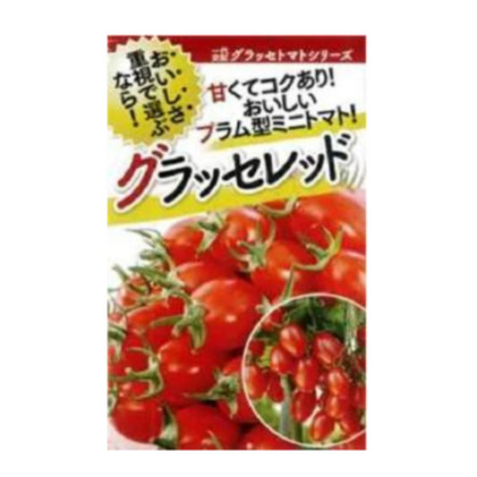 グラッセ レッド 1000粒 トマト とまと 蕃茄【フタバ 種 たね タネ】