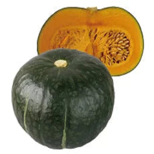 くり将軍南瓜 100粒 南瓜 カボチャ かぼちゃ【トキタ 種 たね タネ】