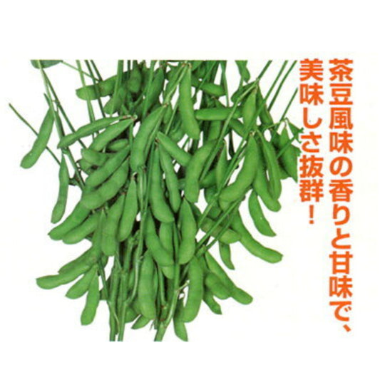 陽恵 PVP 2000粒 枝豆 えだまめ エダマメ【カネコ種苗 種 たね タネ 】