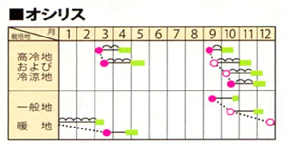 PRIMAX オシリス 法蓮草 M3万粒 ほうれん草 法蓮草 ホウレンソウ ほうれんそう【サカタ 種 たね タネ】