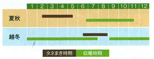 グラッセ レッド 1000粒 トマト とまと 蕃茄【フタバ 種 たね タネ】