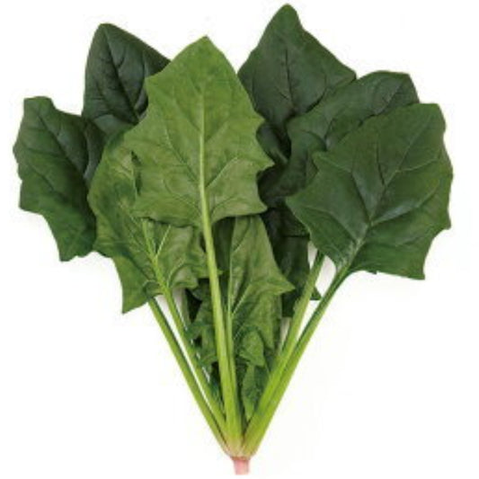 スーパーセーブ PRIMAX M3万粒 ほうれん草 法蓮草 ホウレンソウ ほうれんそう【サカタ 種 たね タネ】